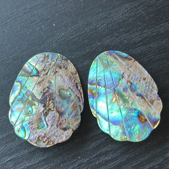 Vintage Jewelry - Vintage Abalone Shell Clip On Earrings
